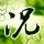 法证先锋3